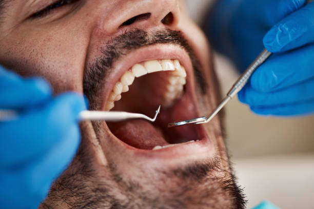 Best Pediatric Dentistry  in Mahomet, IL